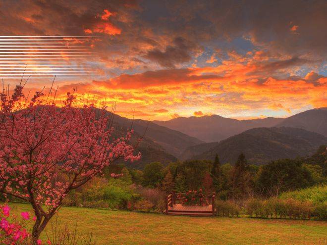 基于这些原因<strong></p>
<p>币安交易</strong>，币安币 [BNB] 可能会在第四季度让交易者失望