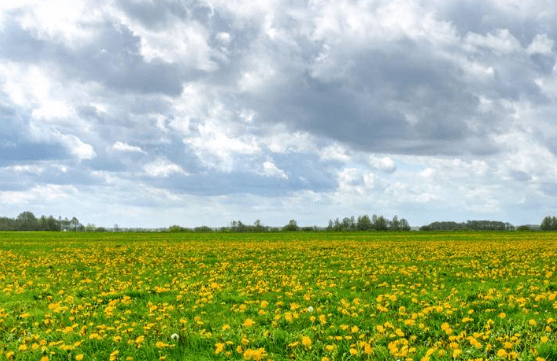 创业板etf期权交易软件有哪些？交易策略是什么？