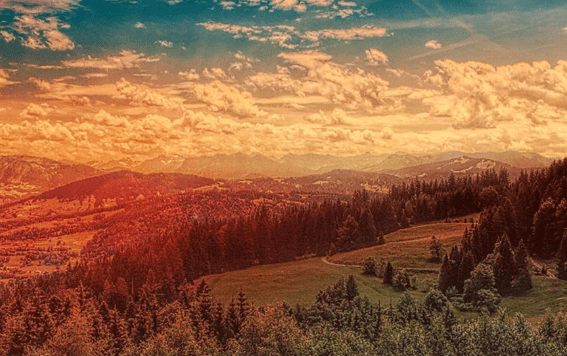 创业板etf期权交易软件有哪些<strong></p>
<p>服务交易软件</strong>?交易策略是什么?