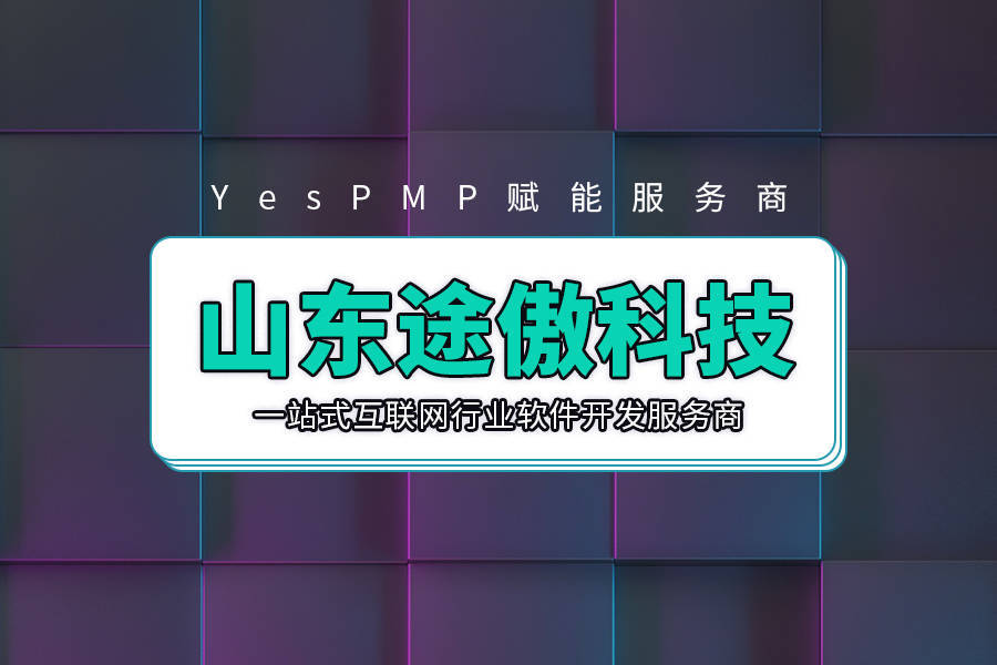 YesPMP优质一站式软件服务商-山东途傲网络科技