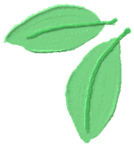 来一方乐田开启一日溜娃打卡模式，农行数币门票0元购！