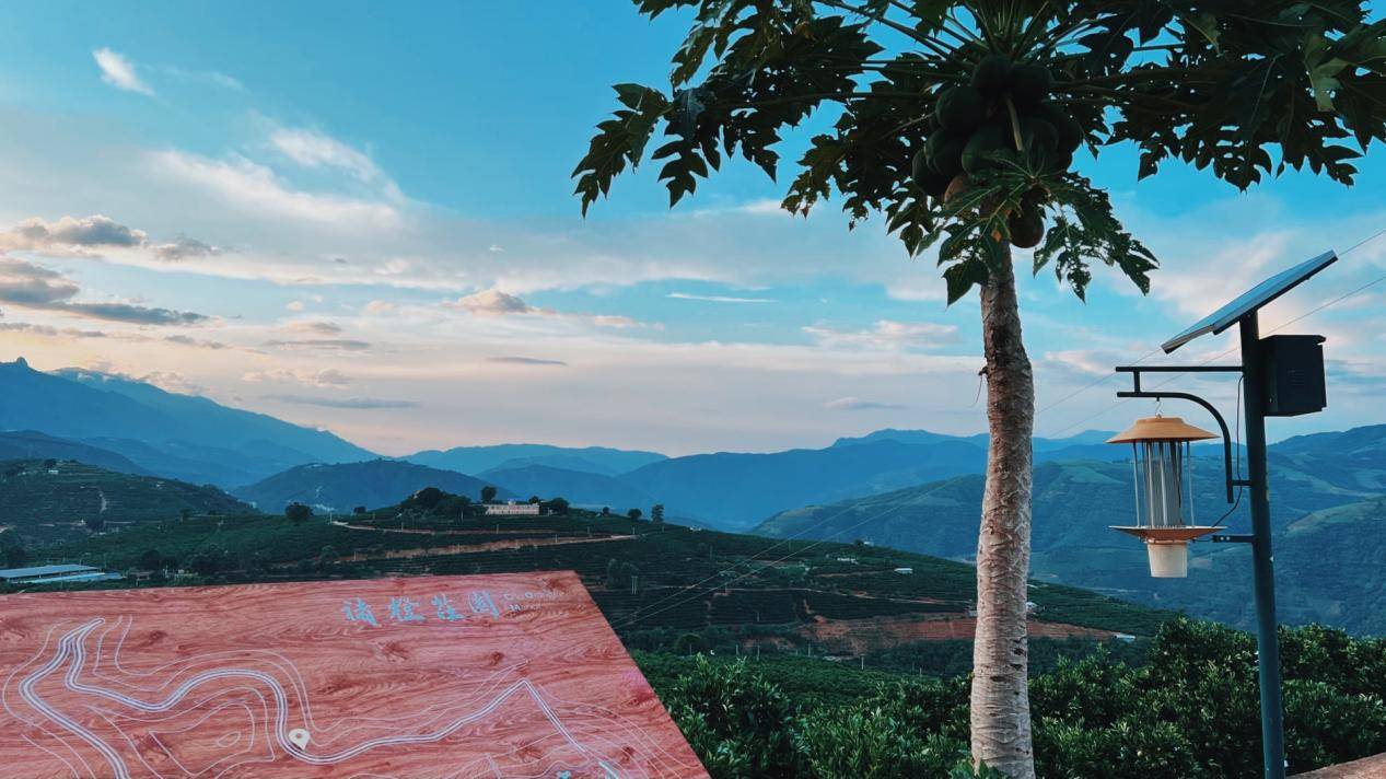 本来生活网2022褚橙预售开启 唤醒<strong></p>
<p>币橙网</strong>你心中的甜