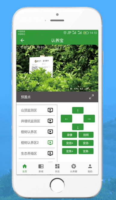互联网+橙树认养<strong></p>
<p>币橙网</strong>,引领都市生活新风尚