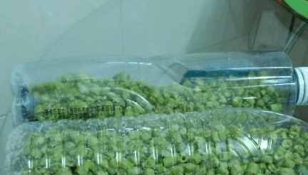 夏天, 豇豆拿来这么做, 特下饭, 做法特简单, 赶紧来学习一下吧!