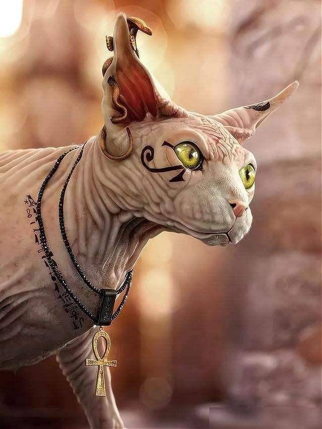 埃及考古学家留下一件遗物<strong></p>
<p>卡特币</strong>，一开始以为是赝品，其实它是真正宝贝