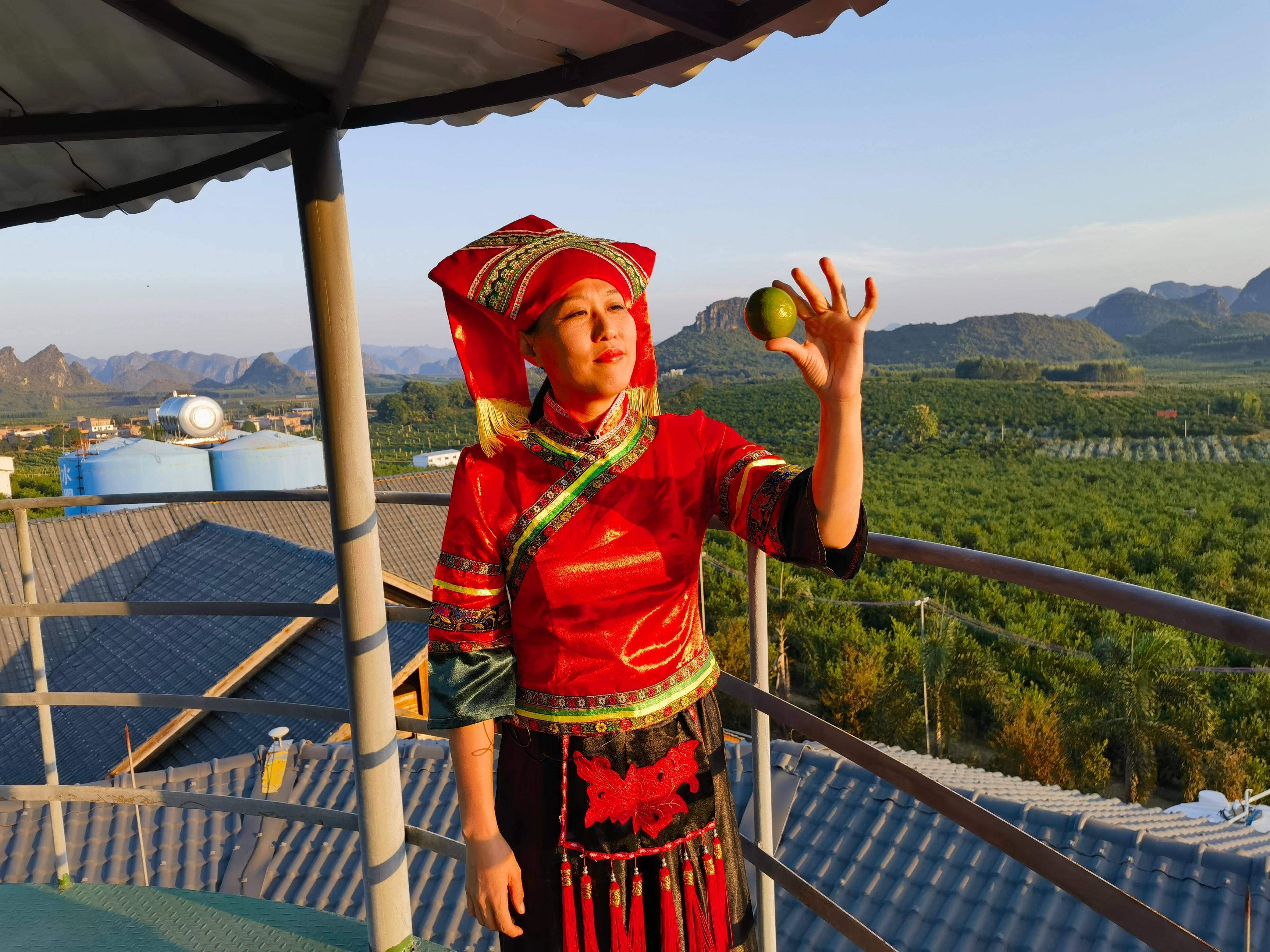 世界游泳冠军到起凤橘洲为武鸣沃柑“吆喝”