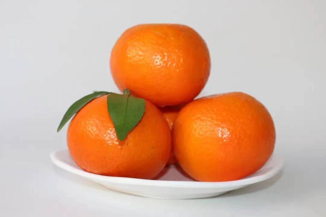 世界游泳冠军到起凤橘洲为武鸣沃柑“吆喝”