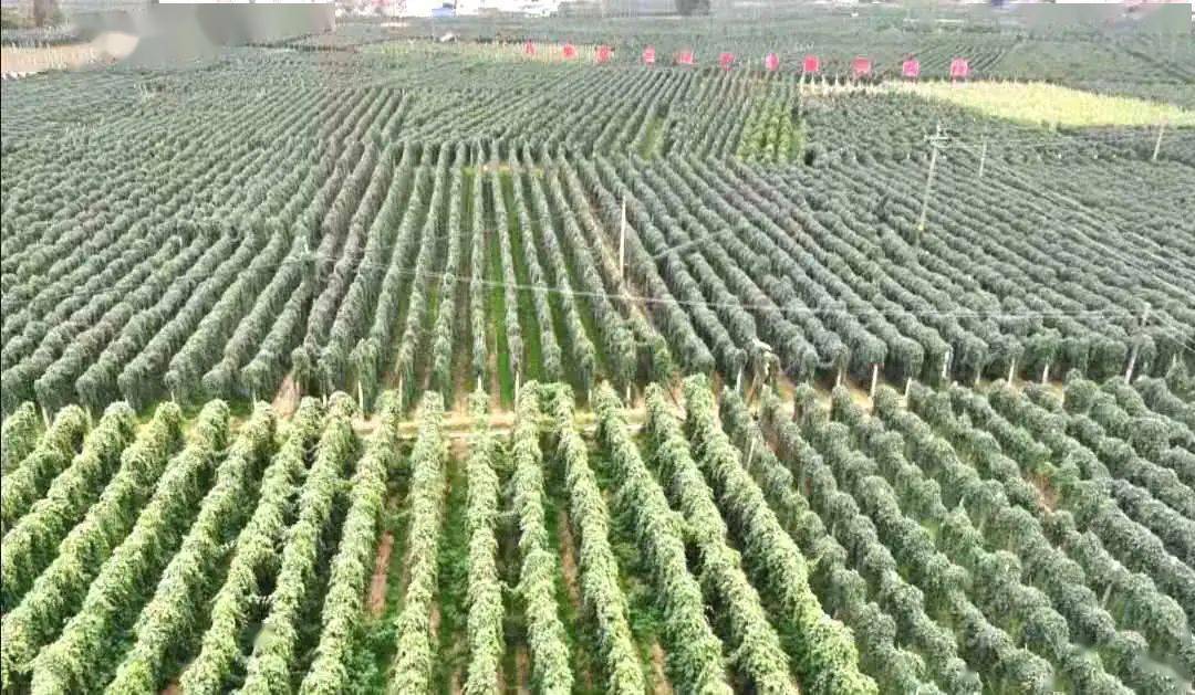 向上向善青年榜样｜国门线上无畏不悔的青春