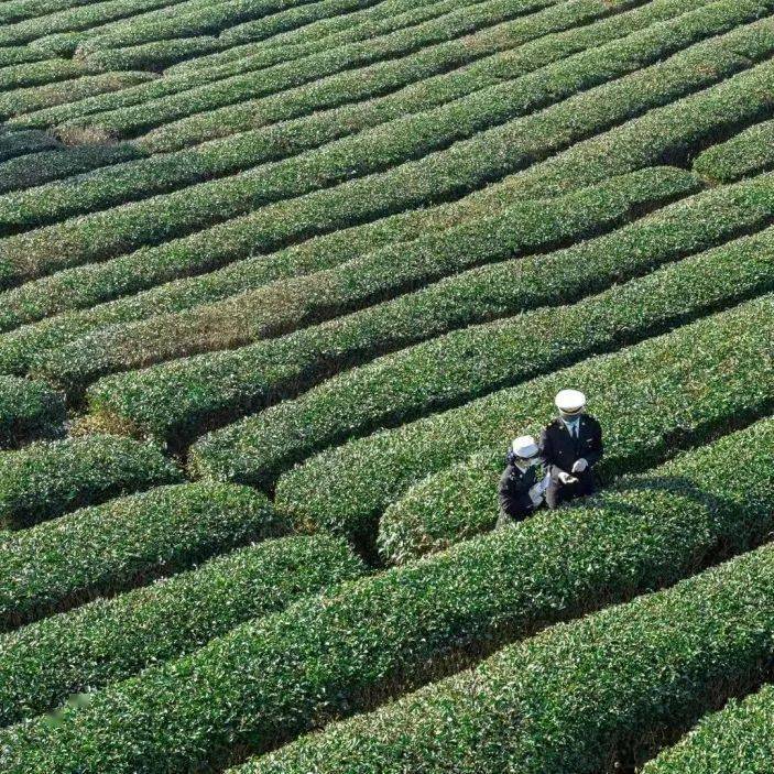 向上向善青年榜样｜国门线上无畏不悔的青春