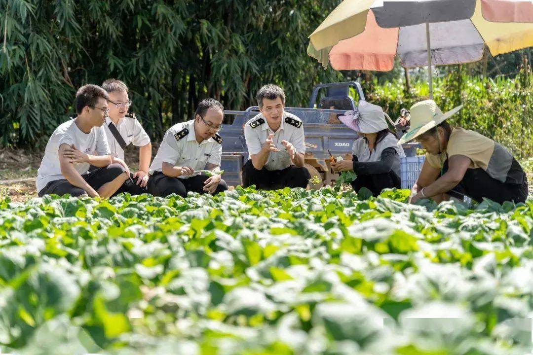 向上向善青年榜样｜国门线上无畏不悔的青春
