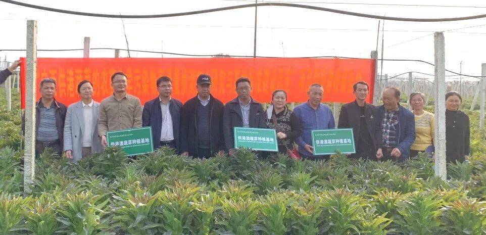 向上向善青年榜样｜国门线上无畏不悔的青春