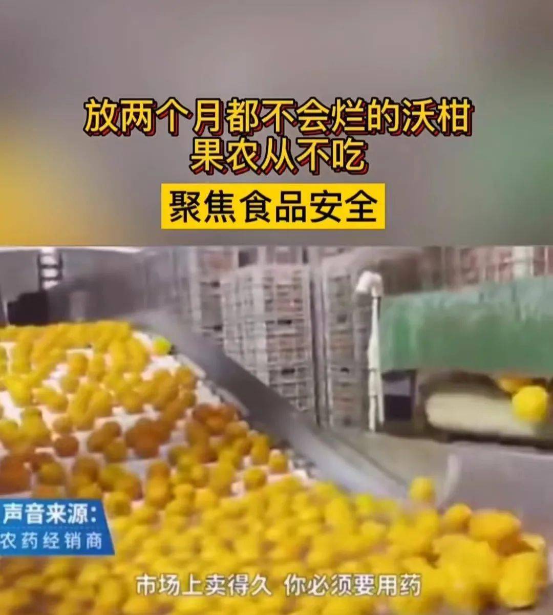 向上向善青年榜样｜国门线上无畏不悔的青春