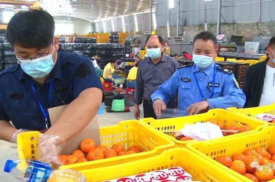 向上向善青年榜样｜国门线上无畏不悔的青春