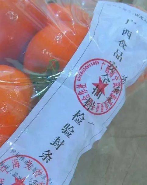 向上向善青年榜样｜国门线上无畏不悔的青春