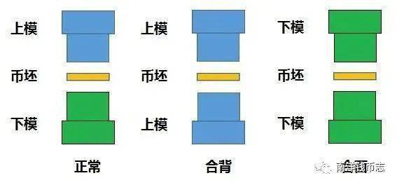 多品种合背币鉴赏 机制骡币是有意为之