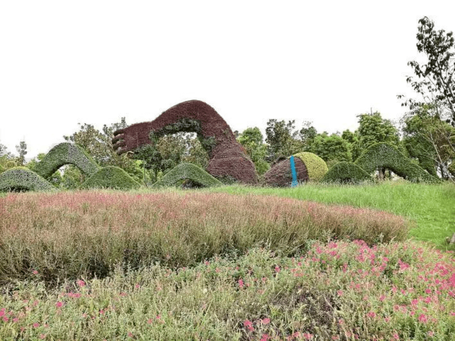 游泰州<strong></p>
<p>泰合币</strong>，遇见省运，和“泰宝”“凤娃”合个影