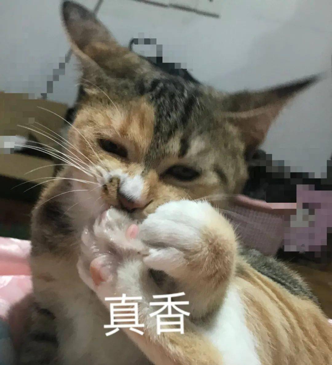 100元红包！使用无需满减！宁波又一地发放数字人民币红包啦！