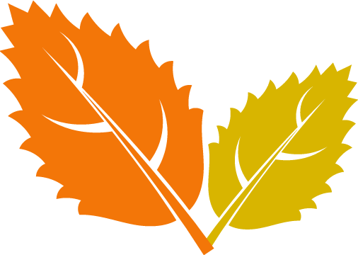 劳动教育丨今天我当家——乐外小学部卓越币兑换活动