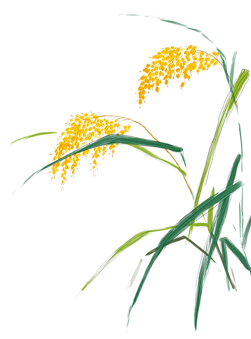 劳动教育丨今天<strong></p>
<p>响币</strong>我当家——乐外小学部卓越币兑换活动