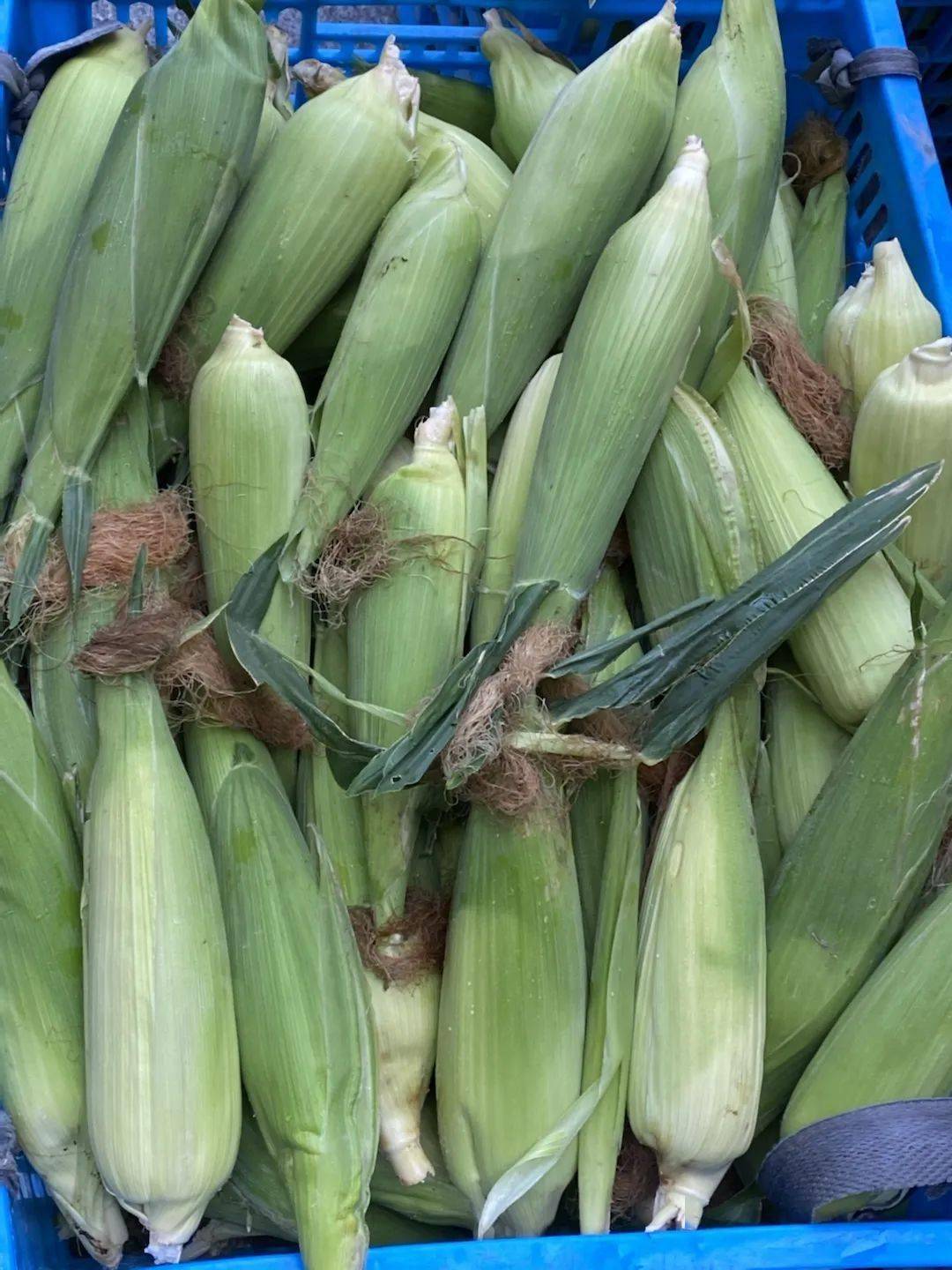 劳动教育丨今天<strong></p>
<p>响币</strong>我当家——乐外小学部卓越币兑换活动