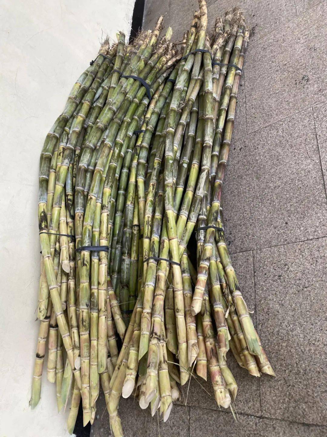 劳动教育丨今天<strong></p>
<p>响币</strong>我当家——乐外小学部卓越币兑换活动