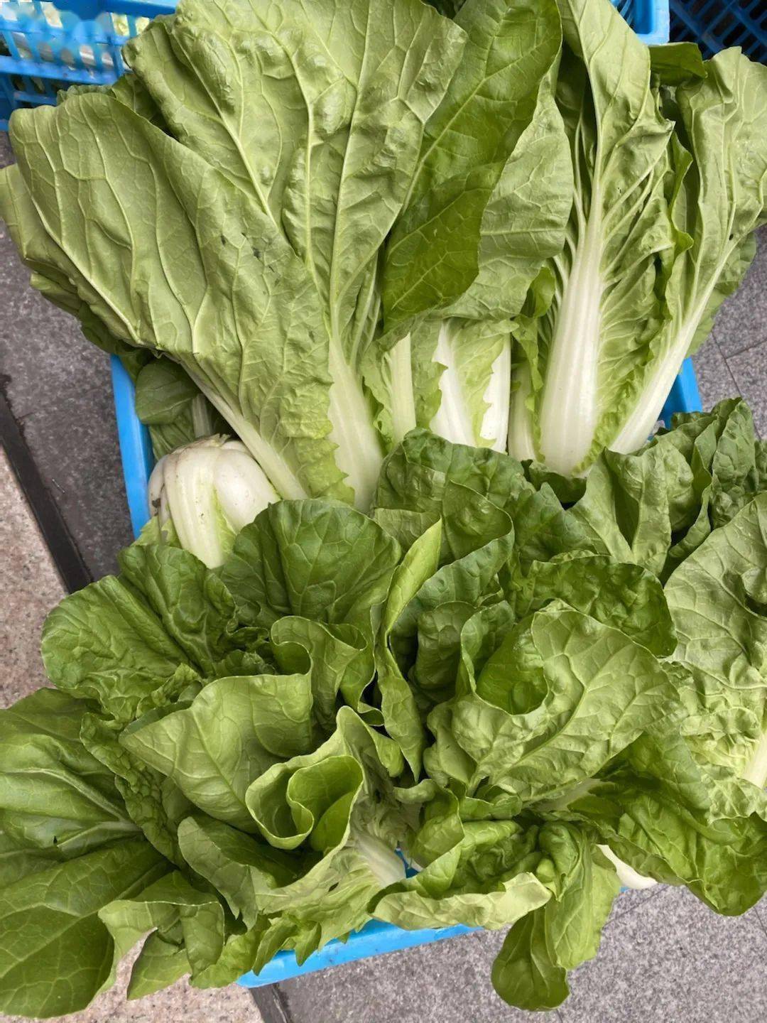 劳动教育丨今天<strong></p>
<p>响币</strong>我当家——乐外小学部卓越币兑换活动