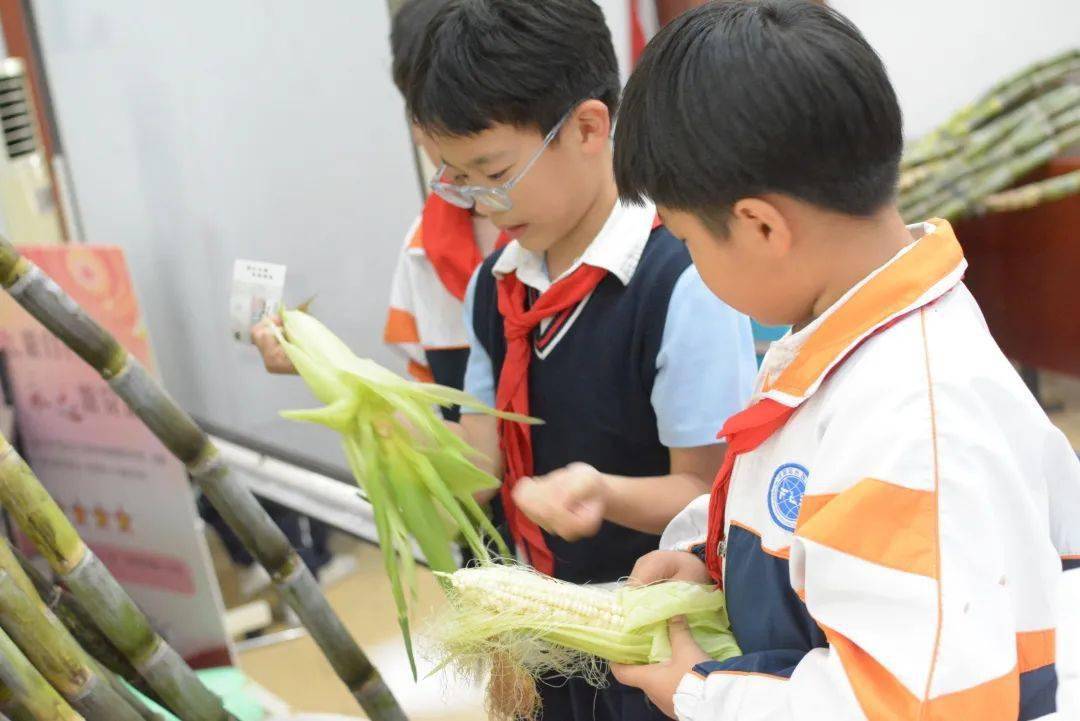 劳动教育丨今天<strong></p>
<p>响币</strong>我当家——乐外小学部卓越币兑换活动