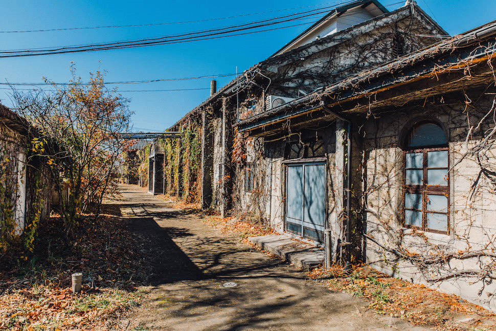 出口金额大增<strong></p>
<p>响币</strong>,日本威士忌热度依然没有褪去