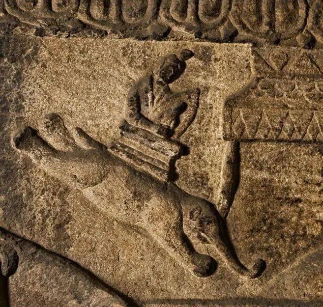 云冈石窟里的“羊<strong></p>
<p>币里羊</strong>了个羊”