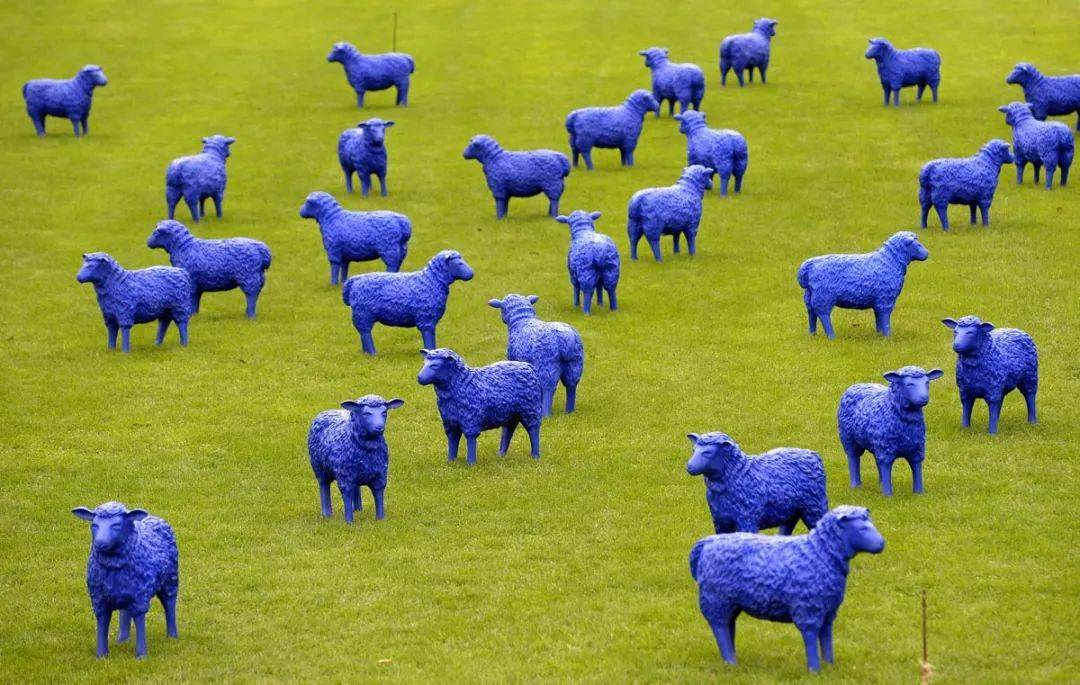 [灵感」关于景观里的“羊里个羊”<strong></p>
<p>币里羊</strong>,你要不要来看看