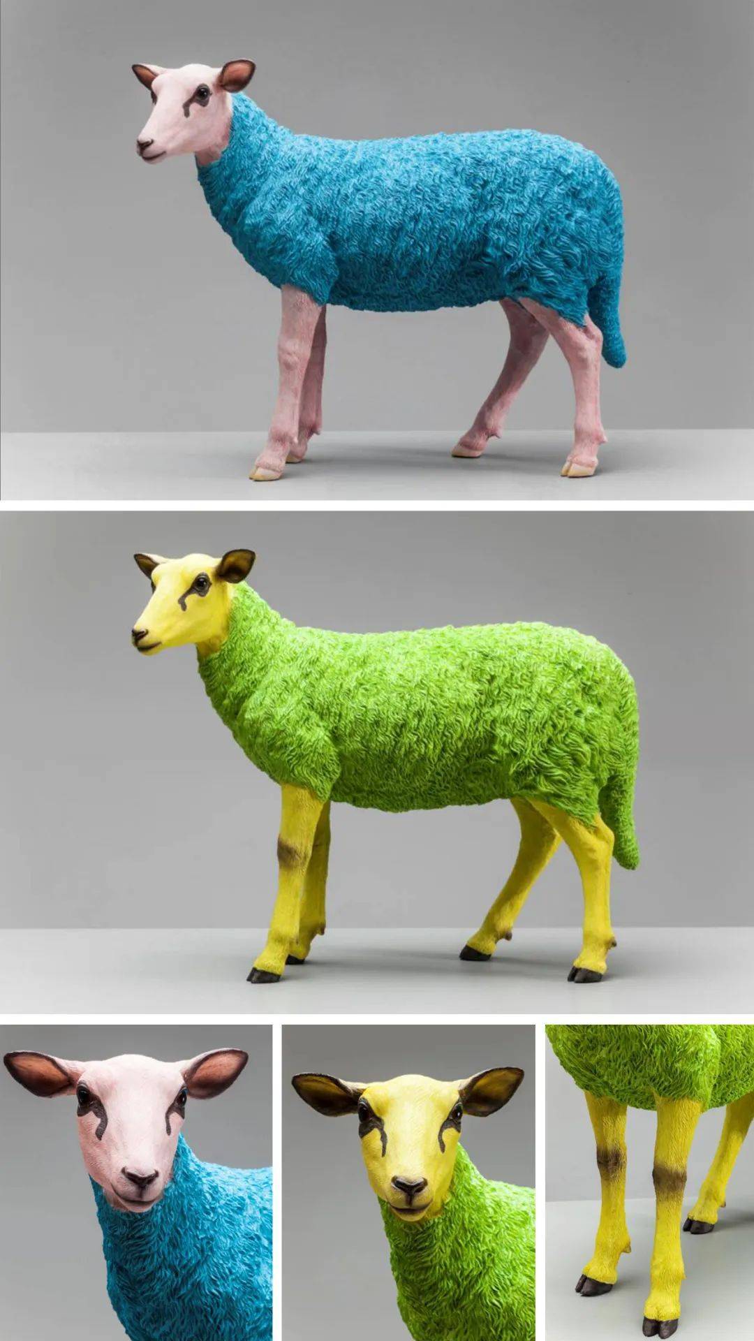 [灵感」关于景观里的“羊里个羊”<strong></p>
<p>币里羊</strong>,你要不要来看看