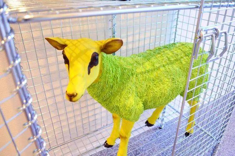 [灵感」关于景观里的“羊里个羊”<strong></p>
<p>币里羊</strong>,你要不要来看看