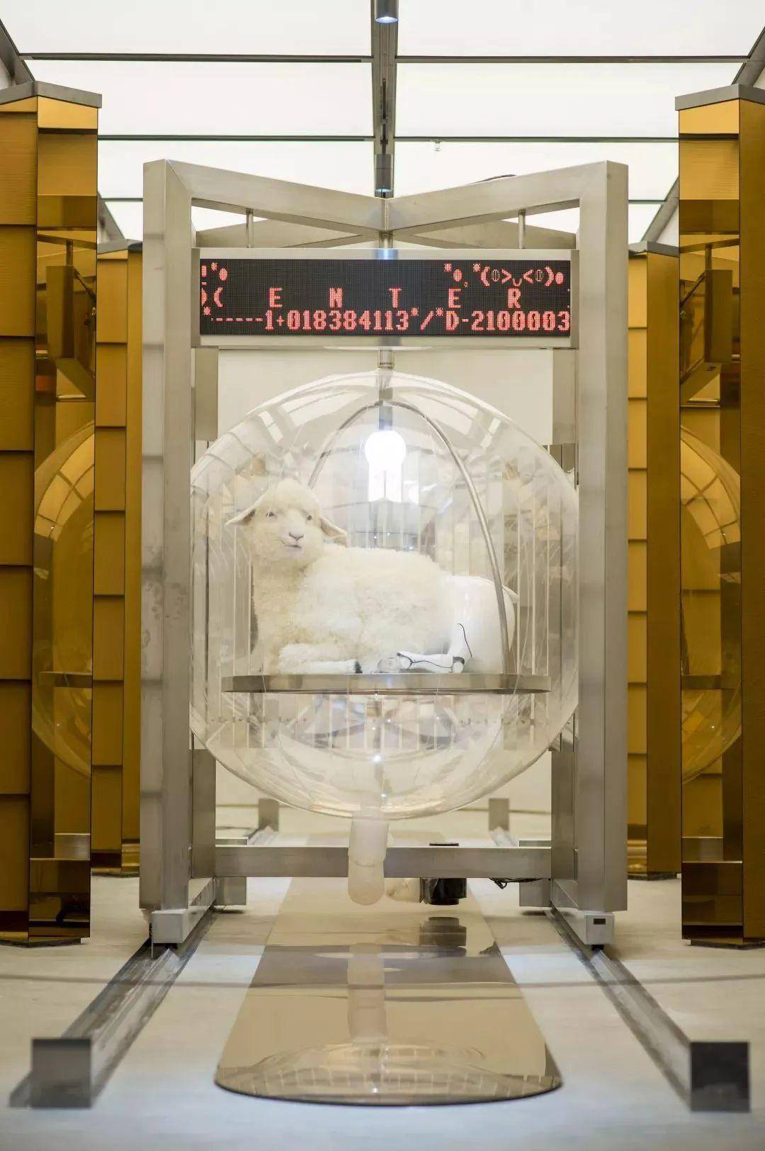 [灵感」关于景观里的“羊里个羊”<strong></p>
<p>币里羊</strong>,你要不要来看看