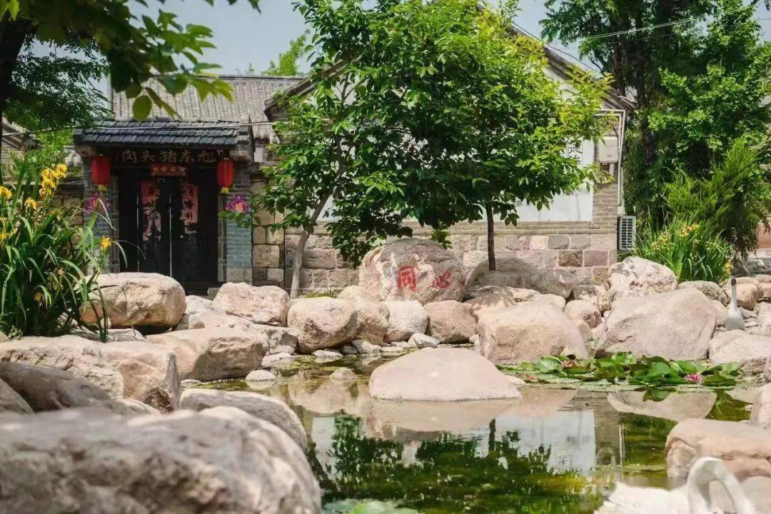 青岛发布最新“成绩单”<strong></p>
<p>排单币</strong>，莱西市排第四…