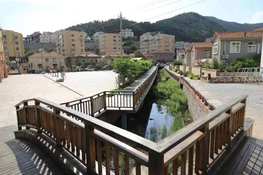 青岛发布最新“成绩单”<strong></p>
<p>排单币</strong>，莱西市排第四…