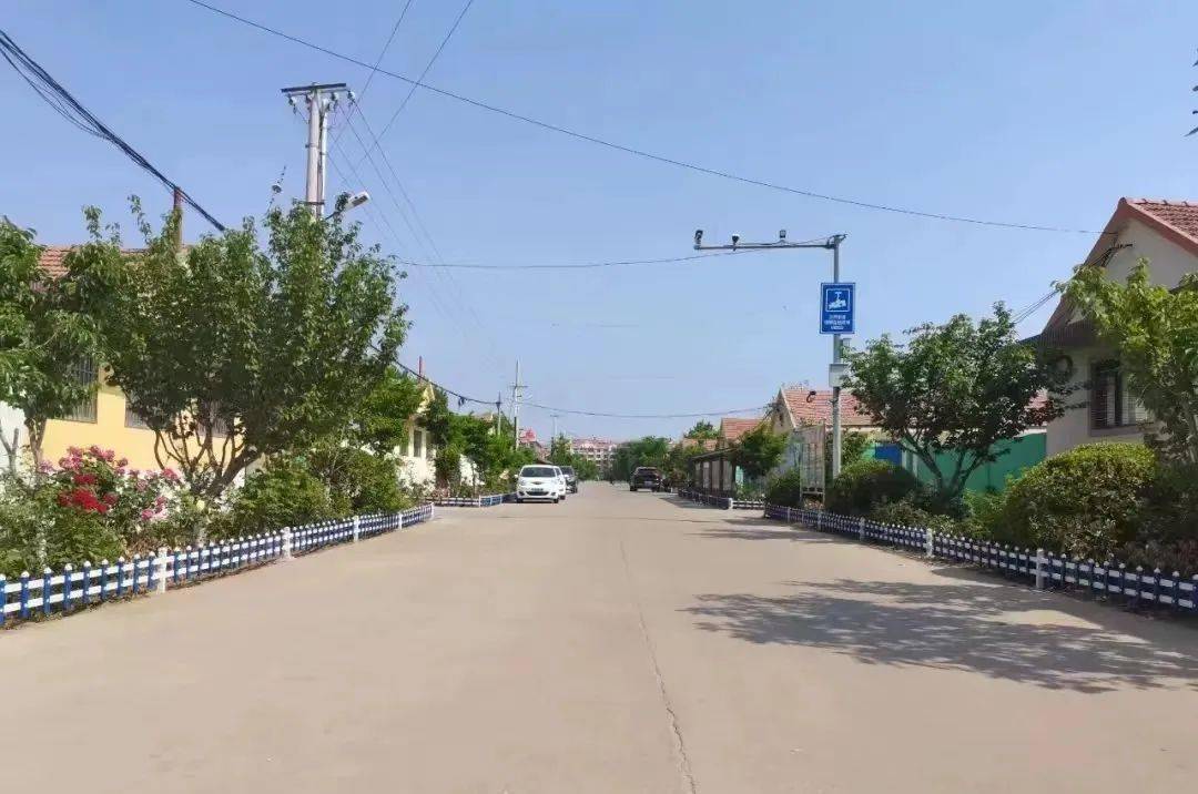 青岛发布最新“成绩单”<strong></p>
<p>排单币</strong>，莱西市排第四…