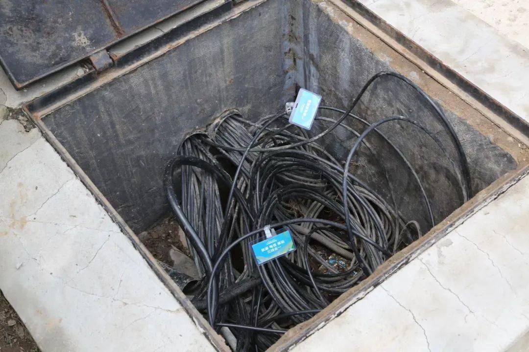 青岛发布最新“成绩单”<strong></p>
<p>排单币</strong>，莱西市排第四…