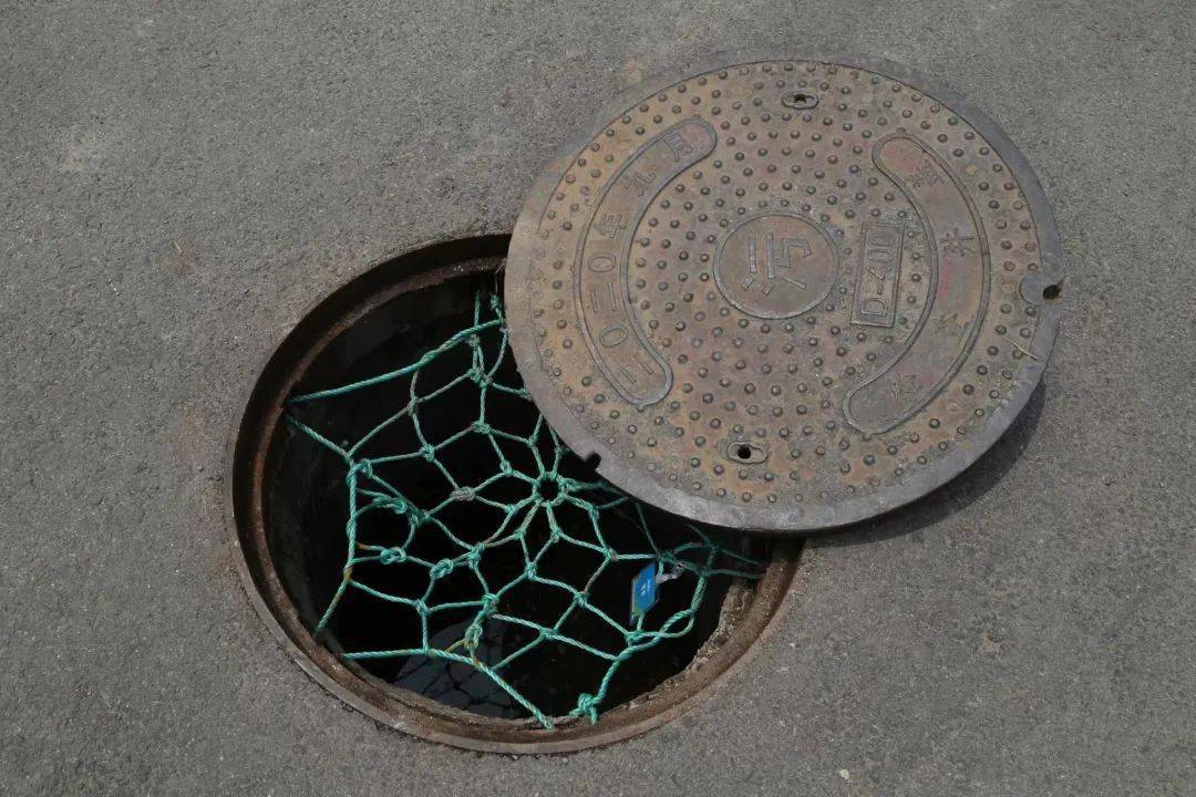 青岛发布最新“成绩单”<strong></p>
<p>排单币</strong>，莱西市排第四…