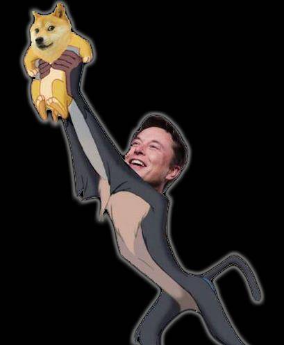 狗狗币的路为啥越走越歪<strong></p>
<p>越币1000</strong>?为你讲述狗狗币的前世今生