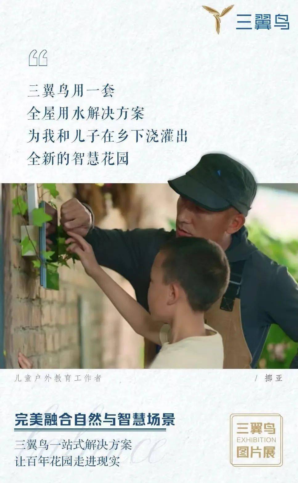 三翼鸟:10000+<strong></p>
<p>三鸟币</strong>,10000+