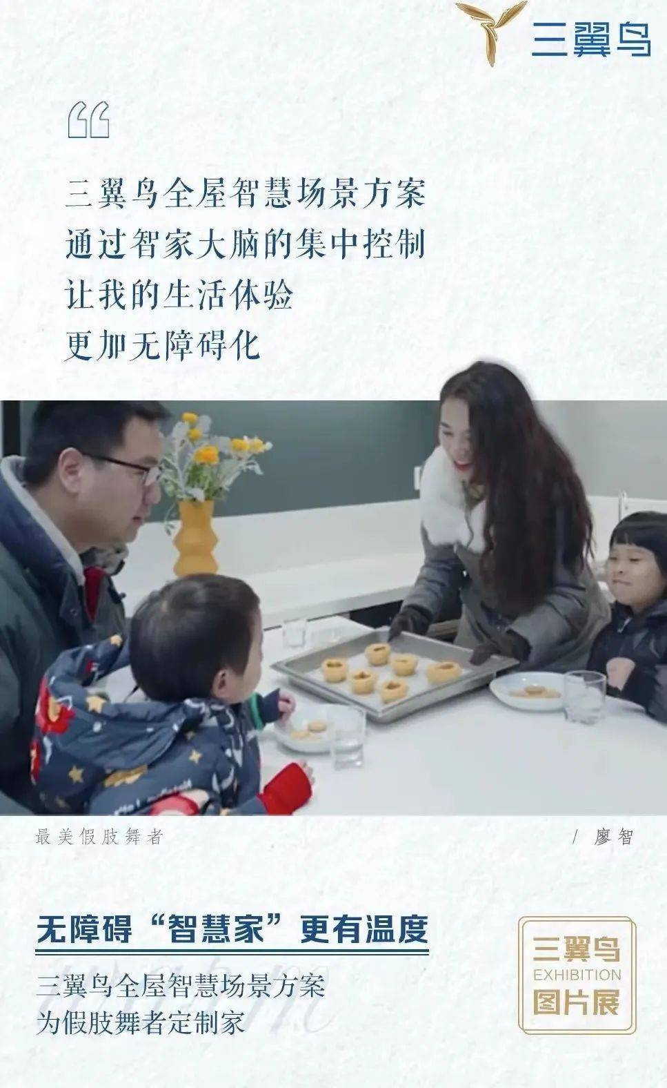 三翼鸟:10000+<strong></p>
<p>三鸟币</strong>,10000+