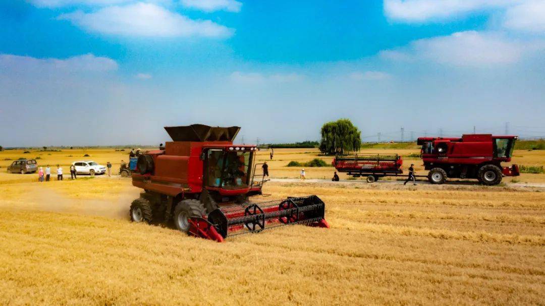 定兴“粮方”，一石三鸟