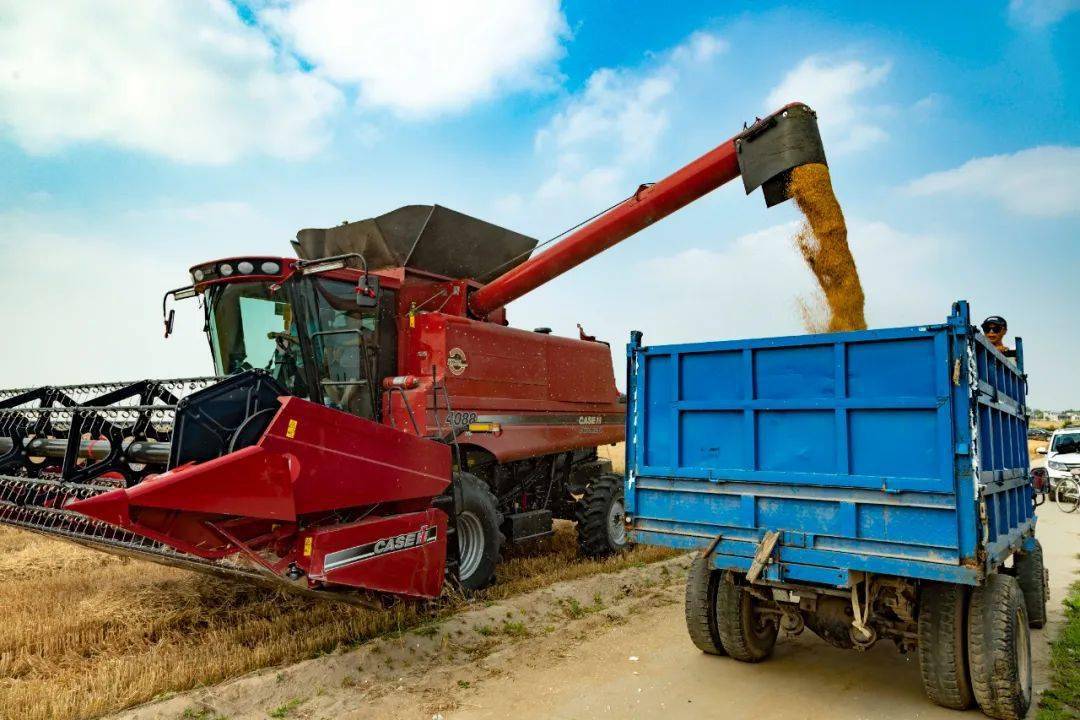 定兴“粮方”<strong></p>
<p>三鸟币</strong>，一石三鸟