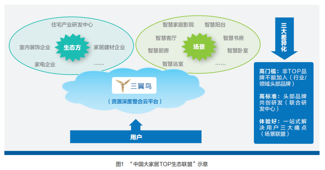 “三翼鸟”扇动创新之翼