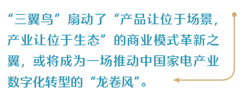 “三翼鸟”扇动创新之翼