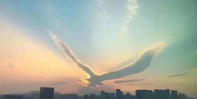 “三鸟进宅门，不富也添喜”是指哪三种鸟？这是什么意思？