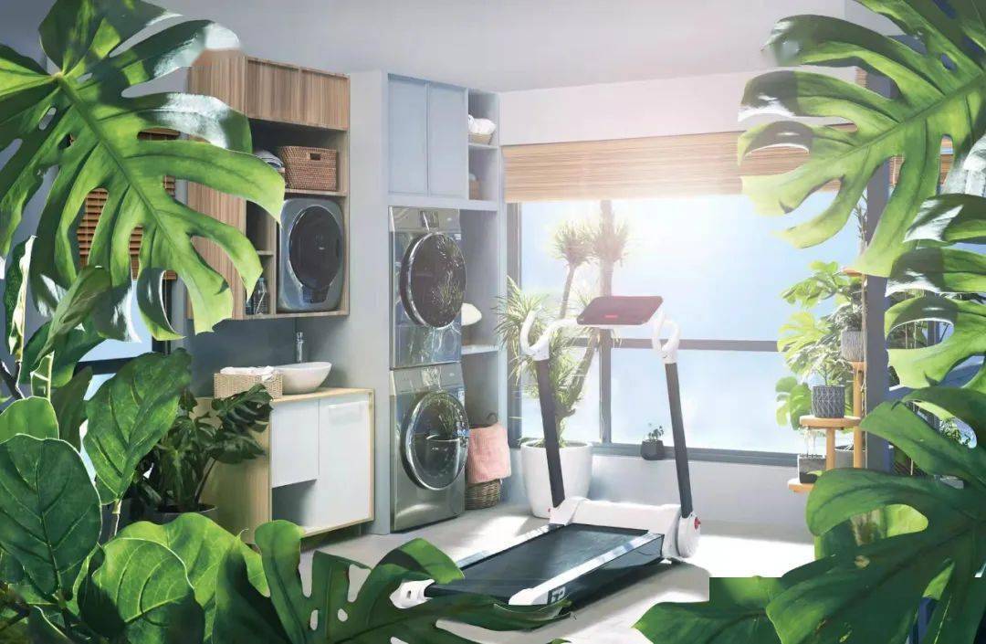 三翼鸟：过节相同<strong></p>
<p>三鸟币</strong>，过法不同