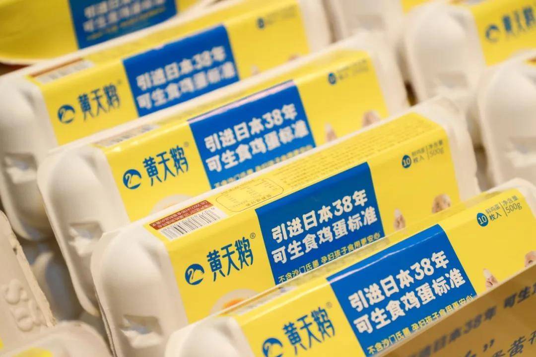 溏心蛋挑战赛引爆全网<strong></p>
<p>蛋币网</strong>,护航溏心蛋美食