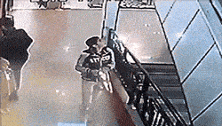 搞笑GIF:锅:我已结网<strong></p>
<p>蛋币网</strong>,蛋是跑不了的