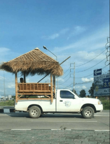 搞笑GIF:锅:我已结网<strong></p>
<p>蛋币网</strong>,蛋是跑不了的